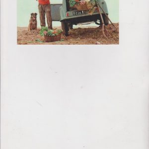 Citroen old 2 CV, postcard képeslap